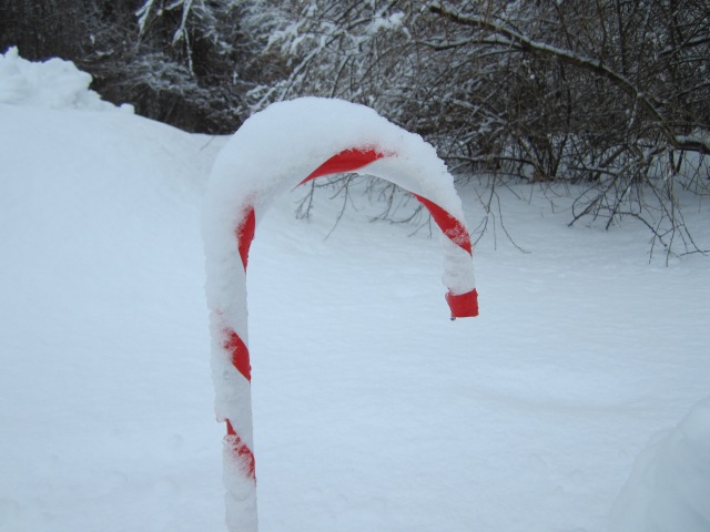 Snow Covered Candy Cane